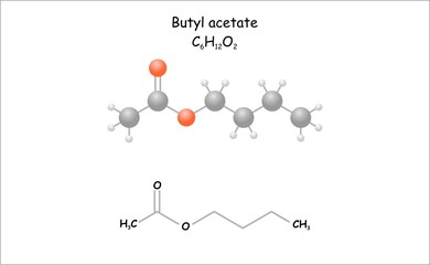Stylized molecule model/structural formula of butyl acetate. A component of apple aroma.