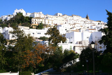 Obraz premium Le village blanc d'Alcala de Los Gazules, situé dans la province de Cadiz, en Andalousie en Espagne