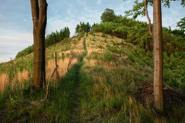 Fototapeta premium Walkway to the top of the hill. Hostyn Hills. Moravia. Czechia. 