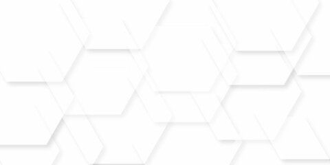 Fototapeta premium Abstract background with squares with hexagons design geometric design in illustration . White geometric texture . Modern background used about technology or product presentation .