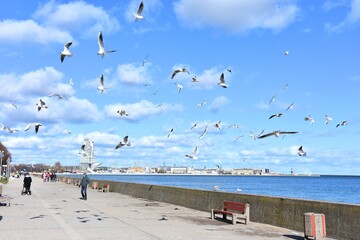 Gdynia, miasto portowe nad Bałtykiem, miejscowość wypoczynkowa, nad morzem, - obrazy, fototapety, plakaty