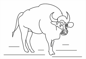 Hand Drawn Doodle Sketch Line Art Vector illustration of Wild Buffalo. 