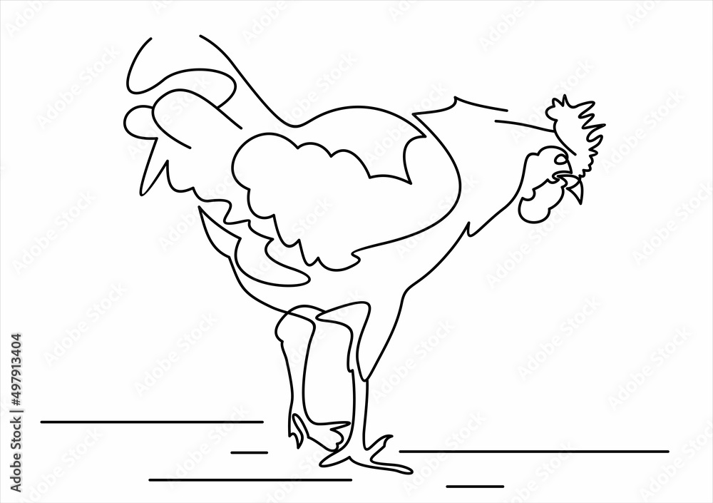 Poster Rooster bird line icon. linear style sign for mobile concept and web design. Cock chicken outline vector icon. 