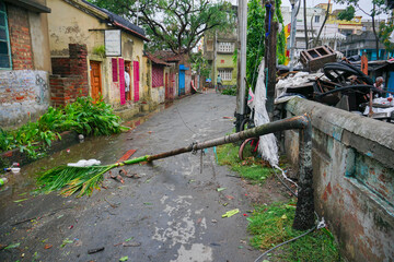 Fototapeta na wymiar Howrah, West Bengal, India - 21st May 2020 : Super cyclone Amphan broke a roadside tree which fell and blocked road. The devastation has made many trees fall on ground.