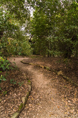 curved path in beautiful Italian garden 