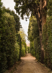 Obraz premium path in beautiful Italian garden 