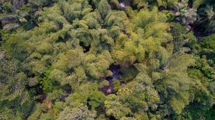 The Slave River, Assin Manso, Ghana