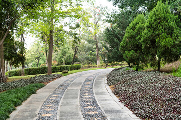 Road through the trees in the park