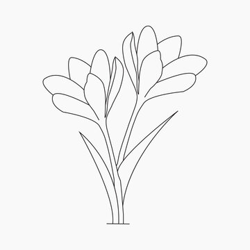 Beautiful Easy Tulip Flowers Coloring book For Preschool Children. Cute Educational Tulip Flowers Coloring Page For Kids