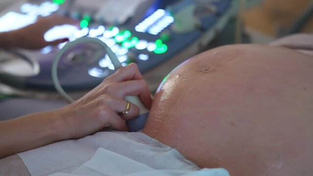 Ultrasonic diagnostics for a pregnant lady. Big round abdomen being checked by the device in doctor's hand. Close up.