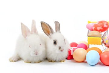 rabbits with colorful eggs isolated on white background,concept easter celebration in april