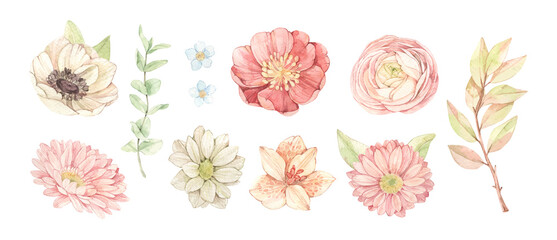 Vector watercolor illustrations - gentle flowers, leaves, eucalyptus, branches. Botanical design elements with Ranunculus, lilies, gerberas. Perfect for wedding invitations, packages, save the date - 497922889