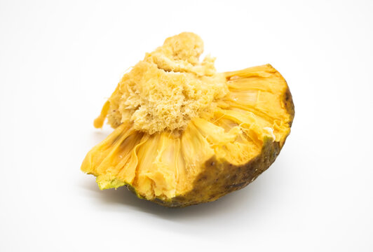 selective focus, Artocarpus lacucha fruit or monkey fruit, or Monkey Jack or Barhar isolate on white