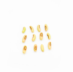 young Yard Long Bean seed on white background,
