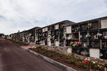 graves in cemetery