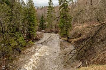 over flowing creek in fall
