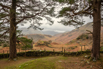 Stunning colorful Autumn landscape image of view from Castle Crag towards High Stile and Glaramara...
