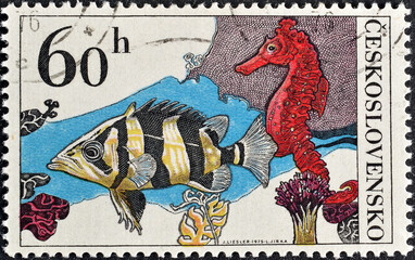 Cancelled postage stamp printed by Czechoslovakia, that shows Finescale Tigerfish and Lined...
