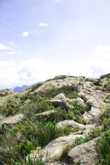 
trail in itatiaia national park in brazil