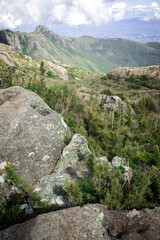 
trail in itatiaia national park in brazil
