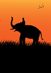 silhouette image Black elephant walking on grass vector Illustration