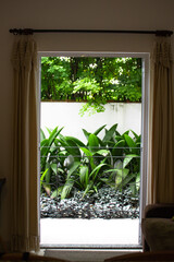 
balcony with plants, curtain, interior decoration