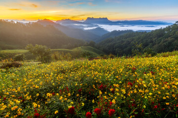 Fototapeta premium Beautiful landscape in the morning at Doi Luang Chiang Dao, Chiang Mai, Thailand