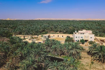 Selbstklebende Fototapeten Khaki Panoramic View to the Oasis Siwa with Green Palm Trees around, Egypt  © Dave