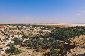 Fototapeta na wymiar Panoramic View to the Oasis Siwa with Green Palm Trees around, Egypt