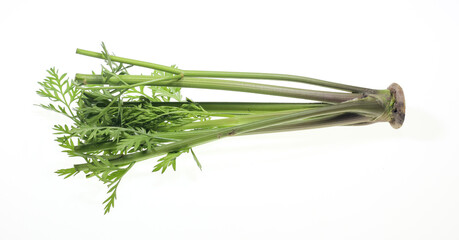 Carrot root isolated on a white background.Fresh fruits or vegetables.