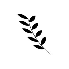 natural leaf icon image vector illustration design