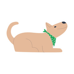 A cute pet is following the "down" command. Training and education of dogs. Flat vector illustration. Eps10