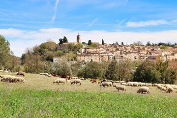 Vue du village de Bagnols-en-Forêt dans le Var , près de Fréjus, avec au premier plan, un...