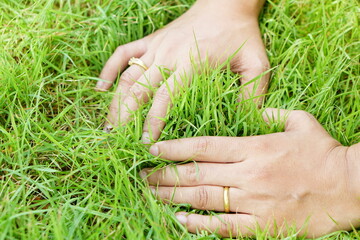 Naklejka na ściany i meble Human hand making heart symbol on green grass. Earth love concept.