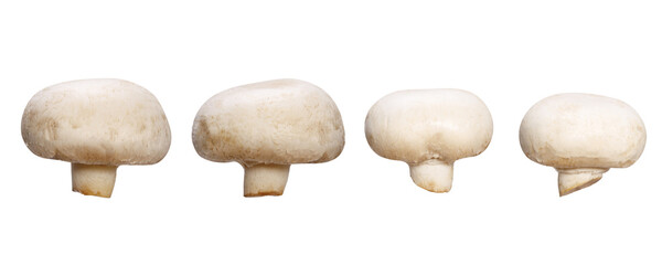 set of champignons isolated on white background