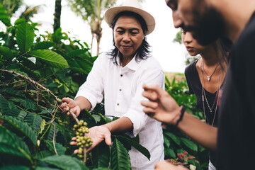 Balinese male owner of agriculture business explaining concept of caffeine growing at branch to travel visitors, group of men and woman spending daytime at rice fields with paddy cultivation