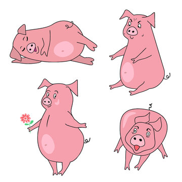 Funny little pig. Cartoon hero. Vector illustration