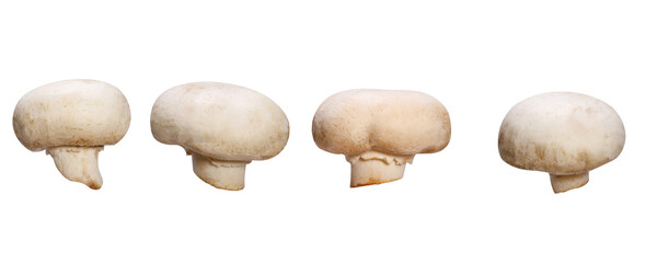 set of natural champignons isolated on white background