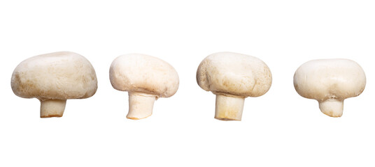 set of natural champignons isolated on white background
