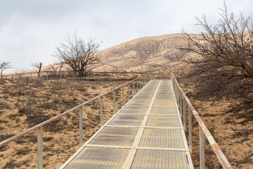 Obraz premium The staircase rises to a sandy dune. Climbing to the top in the desert. Sarykum dune. Dagestan, Russia. A unique sandy mountain in the Caucasus on a cloudy day. Grass grows on a sand dune.