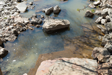 edge of the river in spring