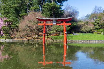 japanese garden in the park