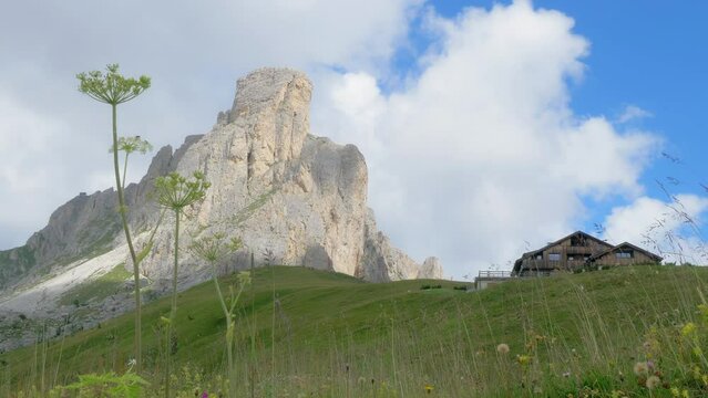 Wide angle from a bottom perspective of a mountain shelter in a meadow next to a dolomites peak that raise in a blue summer sky. in the foreground a flower waves in the wind