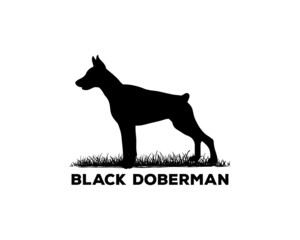 Obraz premium Silhouette Black Doberman Pinscher Dog Breed Animal Pet Symbol Logo Vector