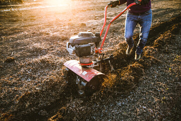man cultivates the ground in the garden with a tiller  preparing the soil for sowing - obrazy, fototapety, plakaty