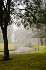 Obraz premium misty morning in the path