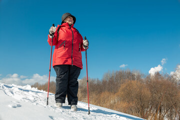 Fototapeta na wymiar Nordic walking. Elderly woman walks in nature.