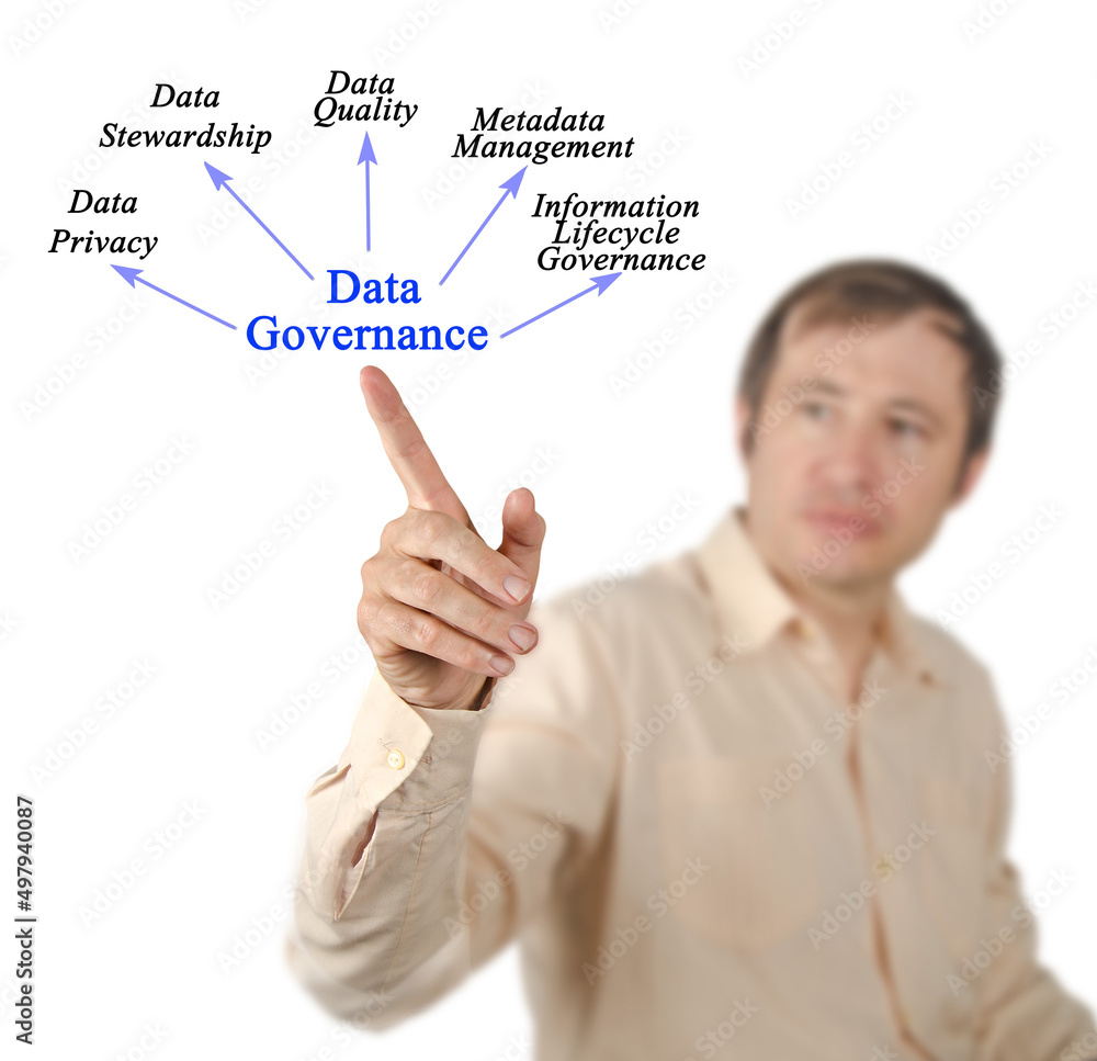 Wall mural five functions of data governance