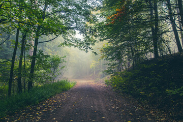 Obraz premium Krčedinski Breg - Vikend naselje 