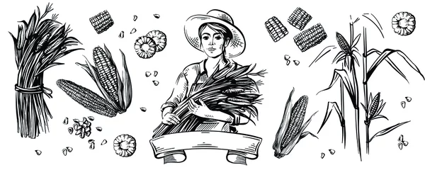 Fotobehang A farmer woman in a hat holds corn in her hands. Great for logo and packaging. Corn grains and cobs. Isolated headpiece. The illustration is hand drawn. © marsska